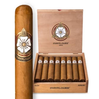 Mayflower Dawn Petite Corona 25 CIGARS cigar listing