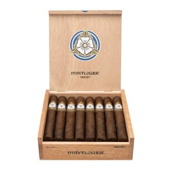 Mayflower Dream Robusto Fresh Pack 5 CIGARS cigar listing